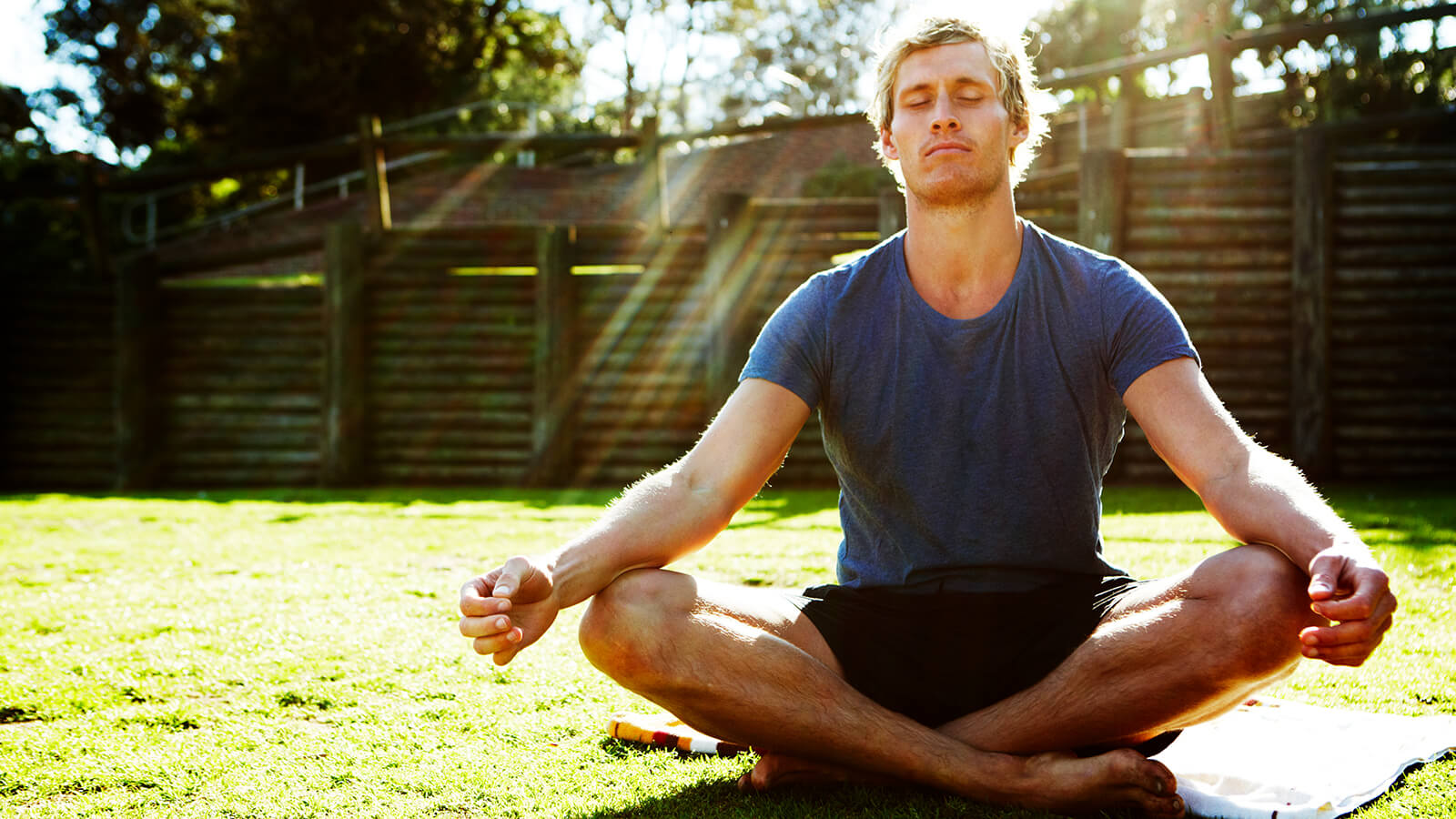 Southern Cross - A man meditates in the garden A man meditates in the garden